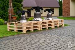 SUT02156