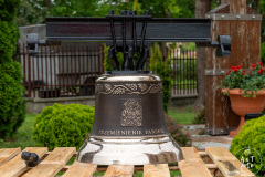 SUT02162
