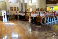 SUT03197