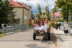 SUT03449
