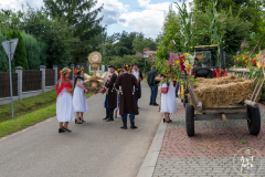SUT03459