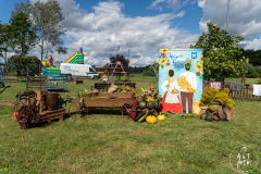 SUT03941