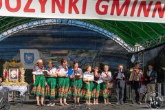 SUT04229