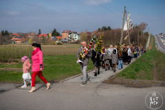 SUT02856