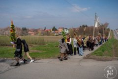 SUT02857