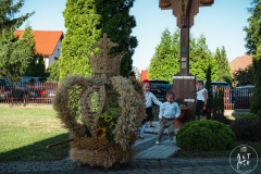 2026.08.15-WIENIEC-7